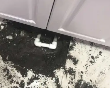 百色市查漏水哪家好