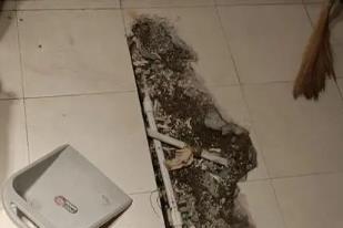 百色市卫生间漏水检测电话